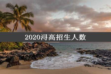 2020浔高招生人数