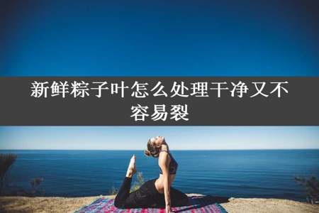 新鲜粽子叶怎么处理干净又不容易裂