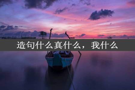 造句什么真什么，我什么