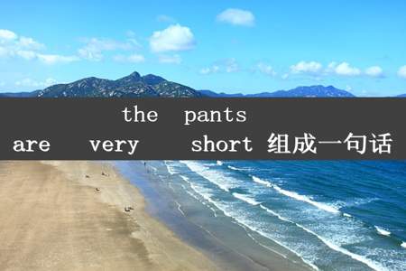 the  pants   are   very    short 组成一句话