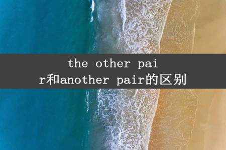 the other pair和another pair的区别