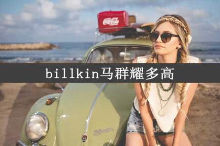 billkin马群耀多高