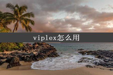 viplex怎么用