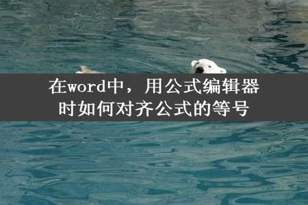 在word中，用公式编辑器时如何对齐公式的等号