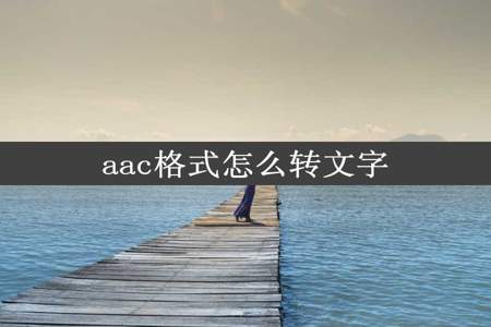 aac格式怎么转文字