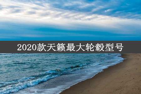 2020款天籁最大轮毂型号