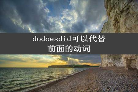 dodoesdid可以代替前面的动词