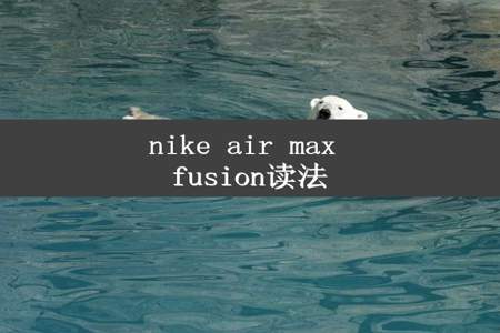 nike air max fusion读法