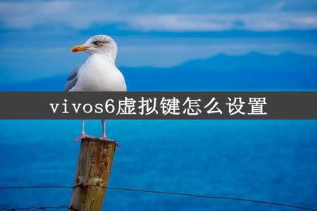 vivos6虚拟键怎么设置