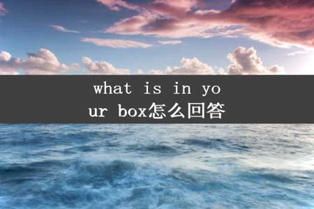 what is in your box怎么回答