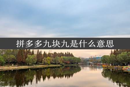 拼多多九块九是什么意思