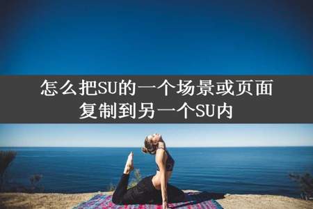 怎么把SU的一个场景或页面复制到另一个SU内