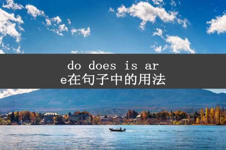 do does is are在句子中的用法