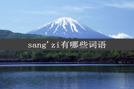 sang'zi有哪些词语