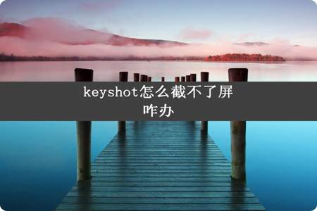 keyshot怎么截不了屏咋办