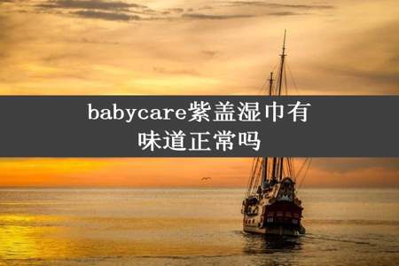 babycare紫盖湿巾有味道正常吗