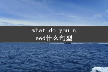 what do you need什么句型