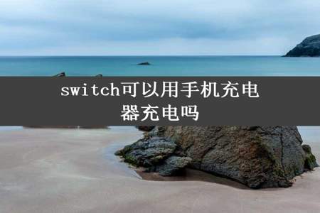 switch可以用手机充电器充电吗