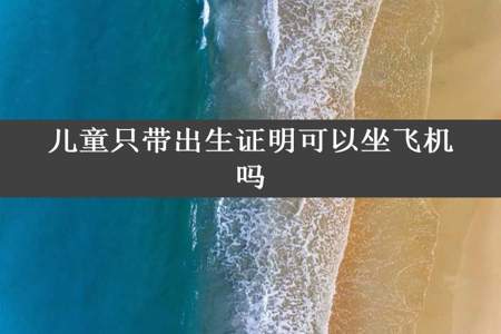 儿童只带出生证明可以坐飞机吗