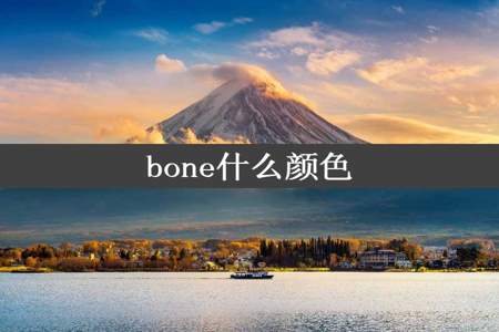 bone什么颜色