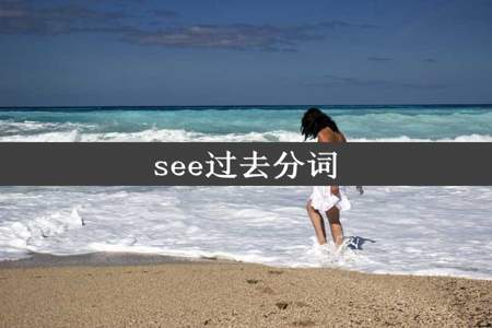 see过去分词