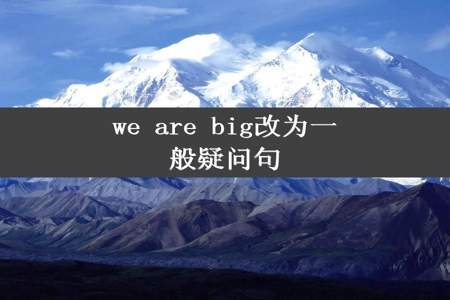 we are big改为一般疑问句