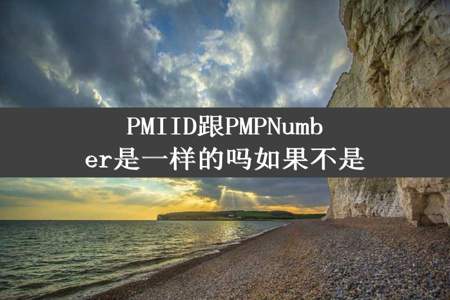 PMIID跟PMPNumber是一样的吗如果不是