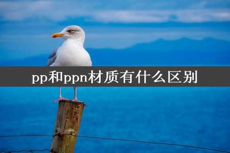 pp和ppn材质有什么区别