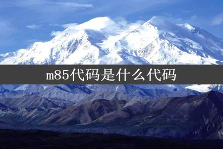 m85代码是什么代码