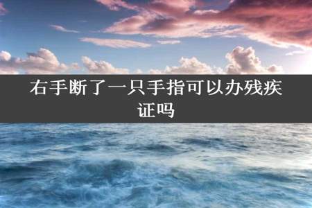 右手断了一只手指可以办残疾证吗