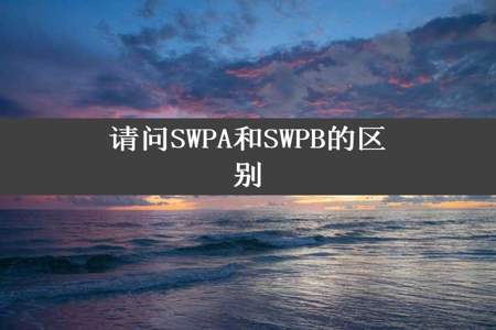 请问SWPA和SWPB的区别