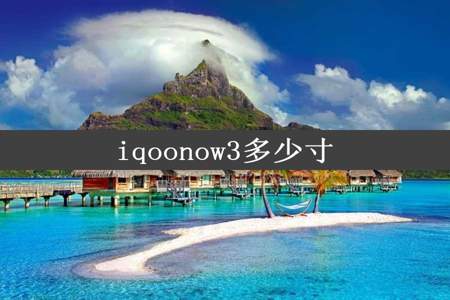 iqoonow3多少寸