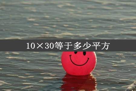 10×30等于多少平方