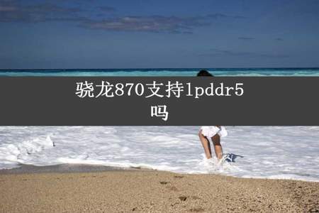 骁龙870支持lpddr5吗