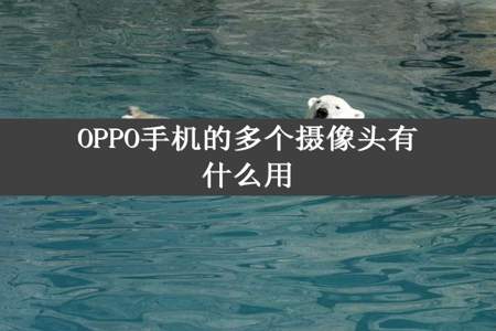 OPPO手机的多个摄像头有什么用