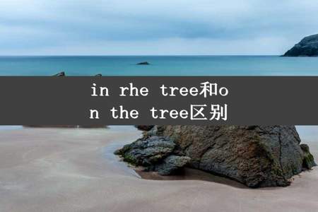 in rhe tree和on the tree区别