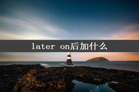 later on后加什么