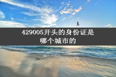 429005开头的身份证是哪个城市的