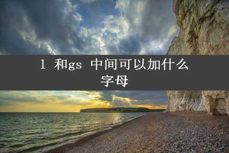 l 和gs 中间可以加什么字母