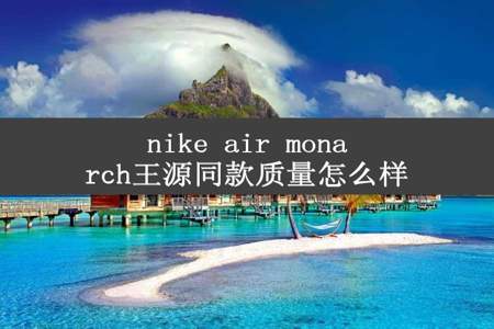 nike air monarch王源同款质量怎么样