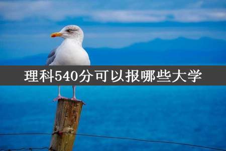 理科540分可以报哪些大学