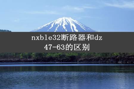 nxble32断路器和dz47-63的区别