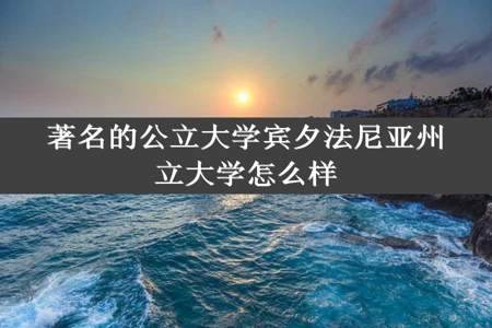 著名的公立大学宾夕法尼亚州立大学怎么样