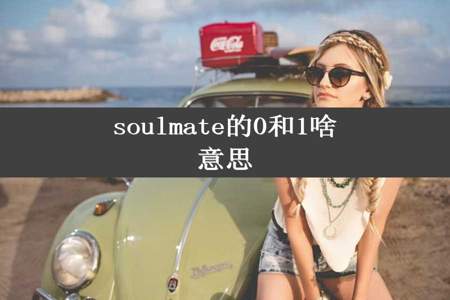 soulmate的0和1啥意思