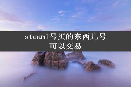 steam1号买的东西几号可以交易