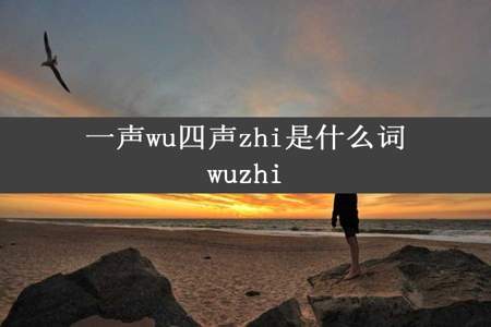 一声wu四声zhi是什么词wuzhi