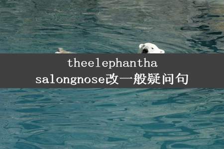 theelephanthasalongnose改一般疑问句