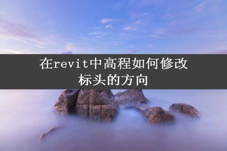 在revit中高程如何修改标头的方向