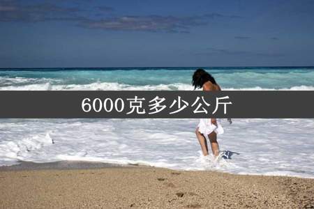 6000克多少公斤