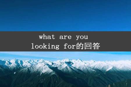 what are you looking for的回答